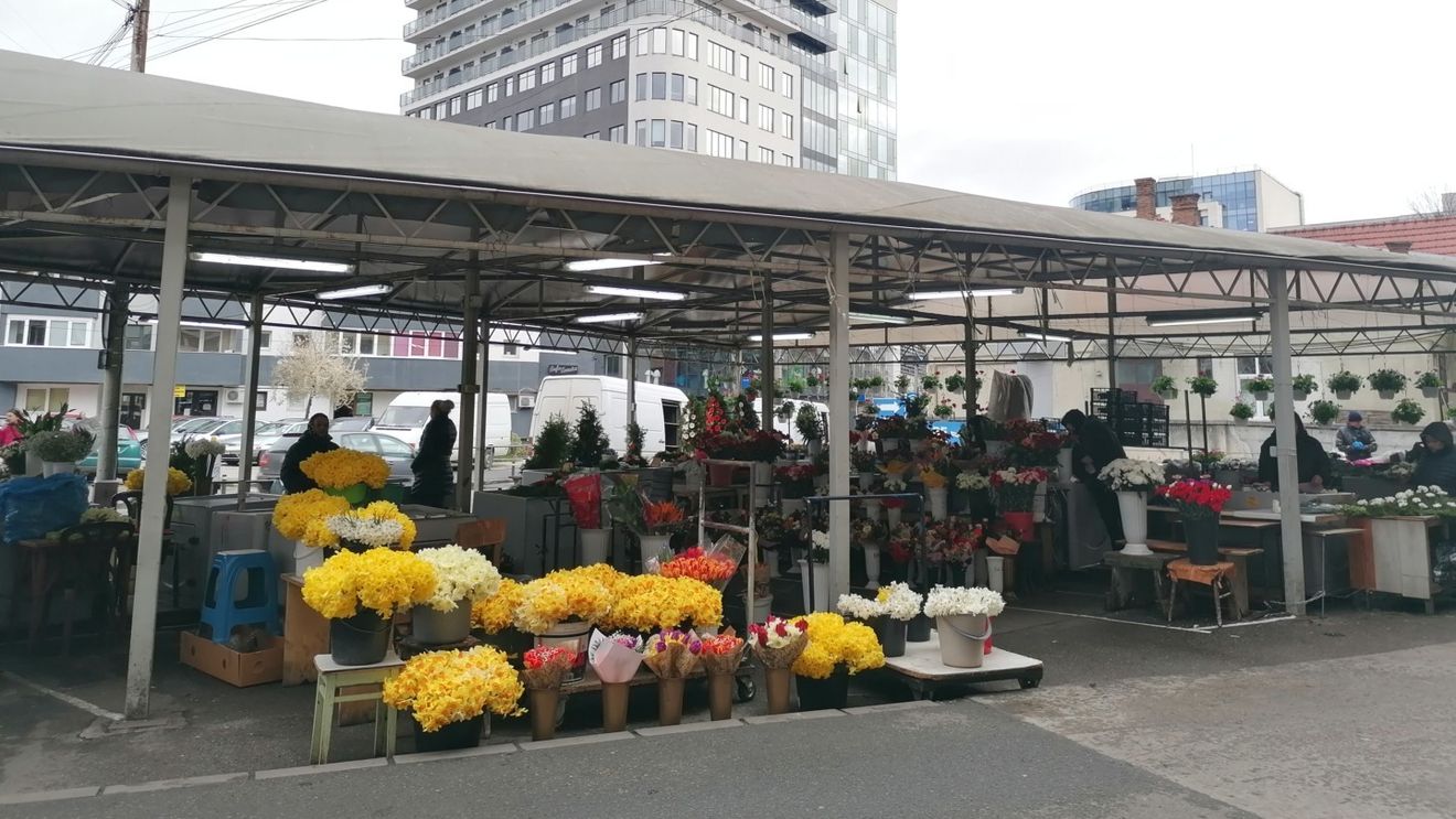 FOTO Reportaj la piață, cu inflație de două cifre, în prag de sărbători. Ce poți să mai cumperi cu 100 de lei, într-un oraș mare din România?