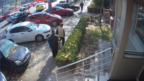 Dispar gardurile vii din Constanța și vor fi înlocuite cu fier forjat / Viceprimar: ”Mai pe românește, s-au uscat”