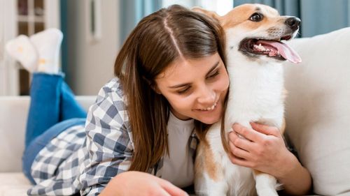 Pisici, câini și examene: Universitățile din SUA care spun DA animalelor de companie. Studenții își pot aduce prietenii blănoși în cămine