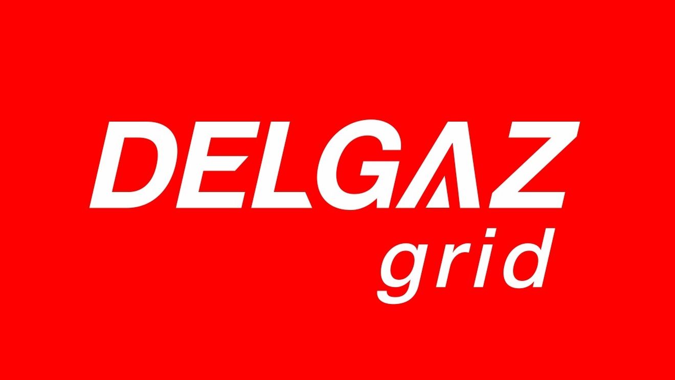 Anunț de licitație Delgaz Grid (P)