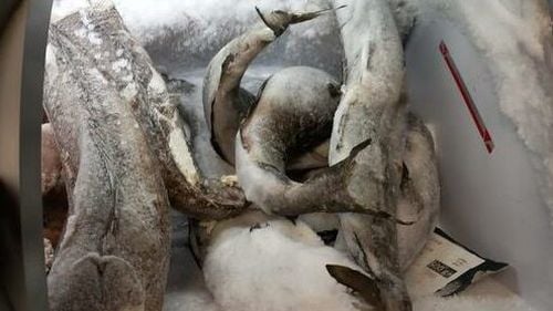 Operatori economici care comercializează preparate şi conserve din peşte, amendaţi de ANPC cu 1,31 milioane de lei