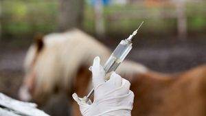 Trafic de ketamină din cabinete veterinare și adăposturi pentru animale? Deputatul Aurora Tasica Simu cere transparență Guvernului și ANSVSA: ”Cetățenii reclamă faptul că ketamina este traficată pe piața neagră” (VIDEO)