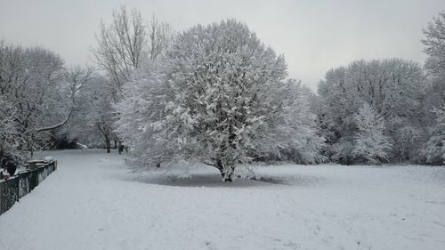 FOTO Londra sub zăpadă: Coșmarul automobiliștilor, bucuria copiilor - o iarnă neobișnuit de timpurie și severă