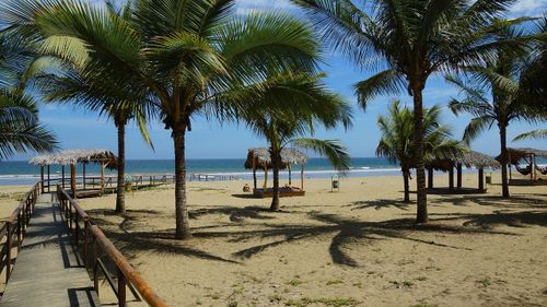 Călătoriile în țări exotice: care sunt cele mai periculoase boli tropicale, ce măsuri trebuie să ia turiștii pentru a evita îmbolnăvirea, de unde se ia tratamentul profilactic, cele mai simple măsuri de precauție