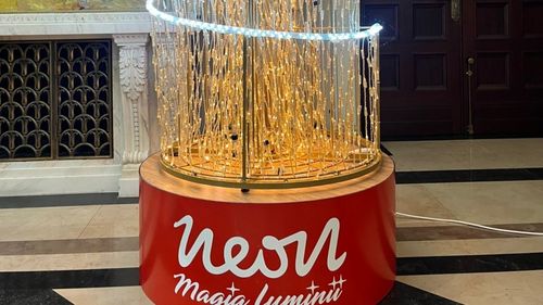 Record la Gala Brazilor de Crăciun: peste un milion de euro, strânși pentru cauze sociale / 145.000 de euro a costat cel mai scump brad