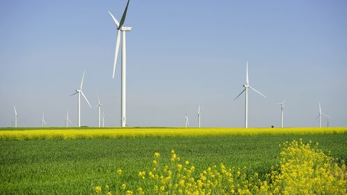 Energia regenerabilă a depăşit pentru prima dată cărbunele ca principală sursă de electricitate, la nivel global