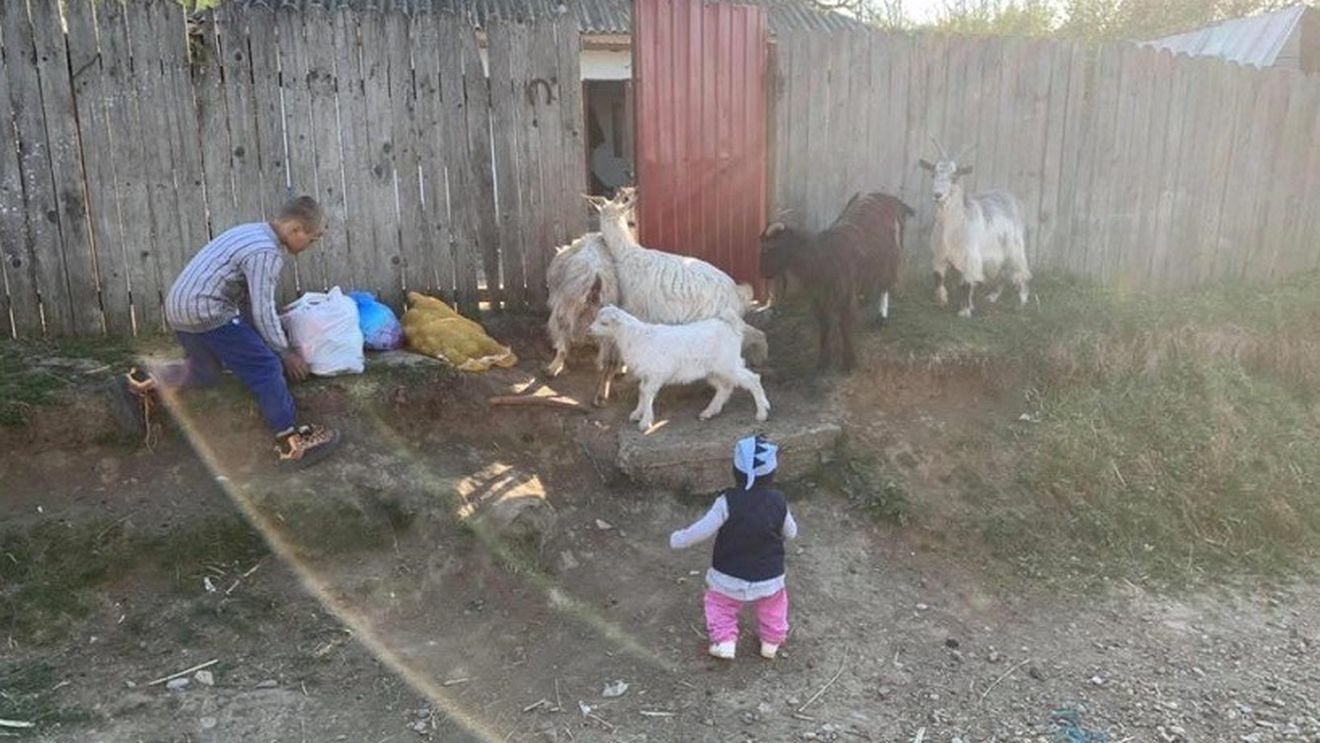 Tichet electronic de energie de 50 lei lunar pentru persoanele vulnerabile, prevede un proiect al Ministerului Muncii