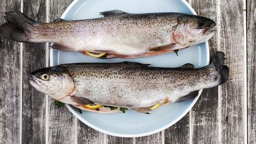 Peștele sintetic obținut din culturi celulare ar putea ajunge în farfuriile europenilor / Acord de colaborare între o companie europeană și una americană