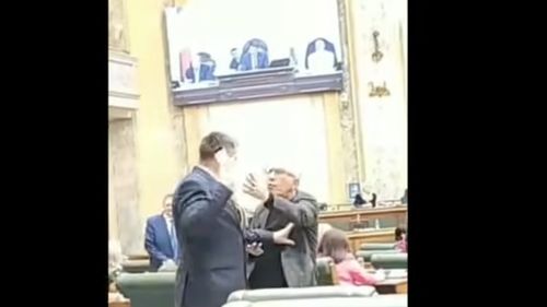 Abrudean, după scandalul din plenul Senatului: Situaţiile de acest tip nu vor fi tolerate / Victoria Stoiciu: Extremiștii au transformat Parlamentul în stadion