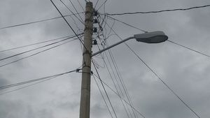 Activitatea Casei de Pensii Timiş e blocată după ce Primăria a tăiat cablurile de internet de pe stâlpi / Primăria: ”E obligaţia operatorilor de a notifica abonaţii”