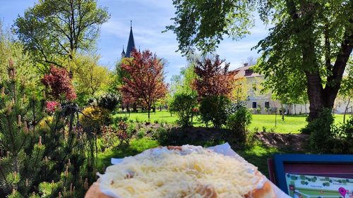Târgul Cetății, în acest weekend, în cetatea medievală din Târgu Mureș: participă peste 70 de producători de bunătăți și mic artizanat și va fi organizată o sesiune de live cooking show