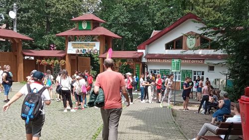 ZOO Târgu Mureș inaugurează al patrulea padoc, cu trecere peste pădurea cerbilor lopătari. În celelalte trei, vizitatorii pot interacționa cu cangurii, păsările emu, lemurii, păunii, caprele şi oile