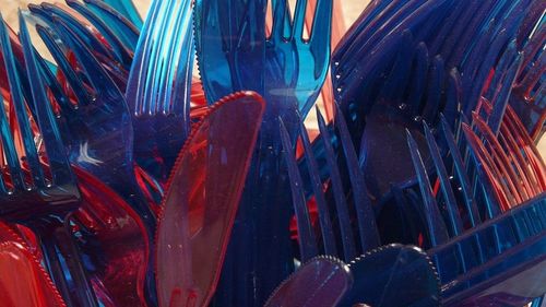 Sfântu Gheorghe, primul oraș din România care interzice paharele, farfuriile şi tacâmurile din plastic la evenimentele publice