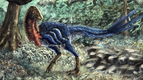 O nouă specie de dinozauri a fost descoperită de un student al Universității din Oklahoma, Statele Unite