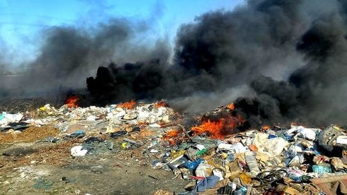 Mini-revoluție ”verde” în UE pentru a limita deșeurile: Sunt interzise ambalajele pentru fructe și legume / Dispar sticlele miniaturale de șampon și gel de duș din hoteluri / Sunt interzise ambalajele de unică folosință pentru alimente și băuturi consumate în restaurante