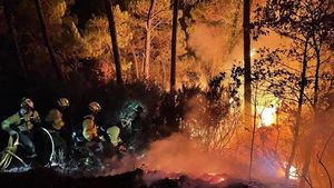 Spania: Primul mare incendiu de vegetație din acest an a distrus 3.000 de hectare și a obligat 1.500 de oameni să își abandoneze casele