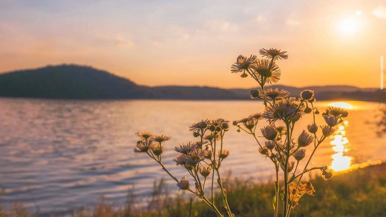 Lacul Tauț din Arad, lovit de secetă: mai este la doar 40% din cât ar fi normal în această perioadă / Campingurile și pensiunile s-au închis, iar agricultura e calamitată în proporție de 70%