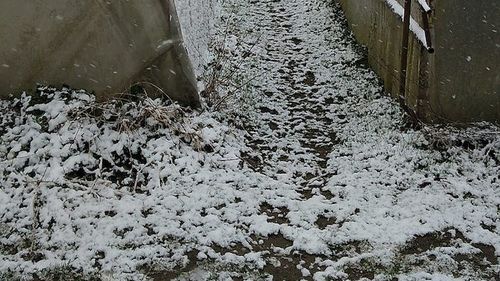 Fermierii au pornit aerotermele în solar, din cauza temperaturilor din ultimele zile: ”Dacă va fi și mai frig, e posibil să înghețe” / ”Sunt diferențe de temperaturi foarte mari. De câțiva ani se întâmplă tot timpul așa”