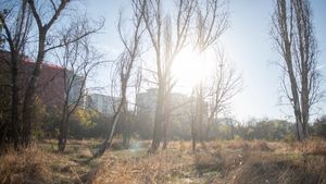 Nicuşor Dan: Suntem hotărâţi să recuperăm bucata retrocedatǎ din parcul IOR. O să ne înscriem la masa credală cu suma de 35 de milioane de euro, valoarea amenzii pentru distrugerea spaţiului verde