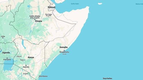 Statele Unite au efectuat un nou atac aerian împotriva unor ţinte ale grupării Statul Islamic în Somalia