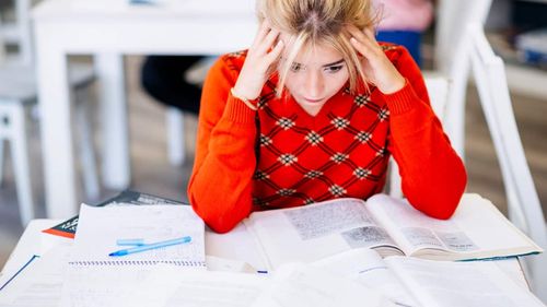Elevă în clasa a VII-a, către ministrul Educației: Ați spus că structura subiectelor de Evaluarea Națională se va schimba și că veți publica modele în luna mai. Cu noi cum rămâne?