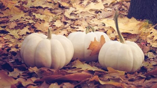 Ce poți face în acest weekend în București / Lista evenimentelor