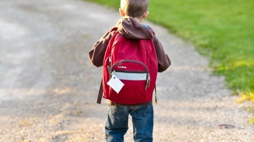 Ghiozdanul de 100 de euro pentru fiecare elev din România – noul proiect al ministrului. Ce s-a întâmplat cu programul de Rechizite școlare