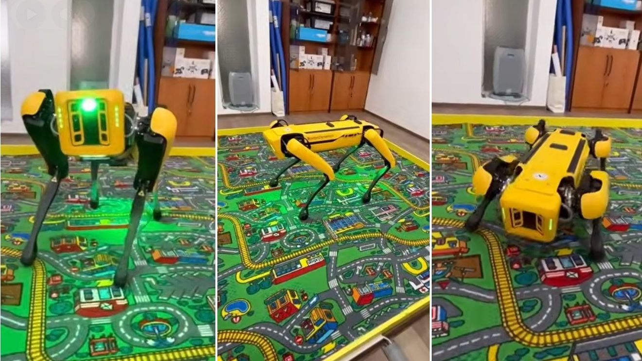 Spot, câinele robot de 100.000 de euro „dresat” cu AI să se plimbe singur prin Facultatea de Automatică și Calculatoare din Iași: Nu latră, nu mușcă și nu cere de mâncare, dar știe să sară peste praguri (VIDEO)