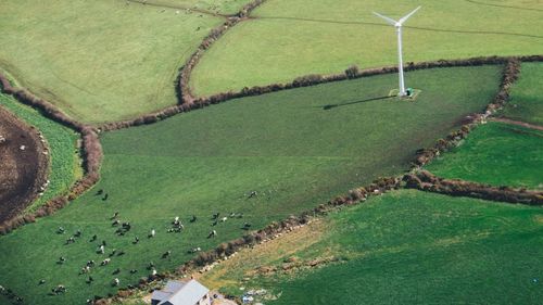 De Ziua Națională, România a fost pe locul 1 în Europa la energie eoliană, cu 26% din energia electrică asigurată la nivel national