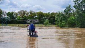 VIDEO  Cum a inspectat prefectul de Bihor situația la Stația hidrometrică Tinca. Județul este sub cod roșu de viituri
