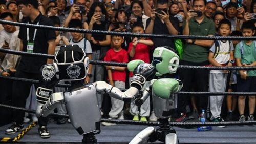 Cea mai mare bătălie a roboților din Europa: lupte de sumo, curse de viteză și labirinturi inteligente / Aproape 1.200 de roboţi la ROBOFEST în campusul Politehnicii București