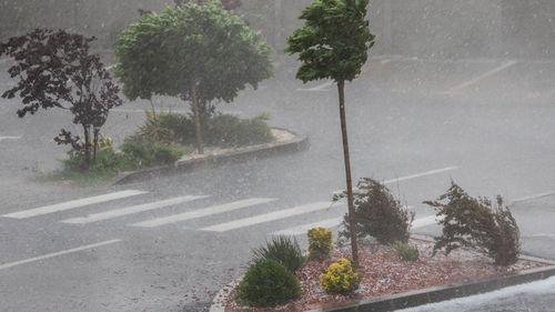 MAE atenţionează cetăţenii români care se află, tranzitează sau intenţionează să călătorească în SUA că până miercuri dimineaţă în California vor fi precipitaţii abundente, inundaţii şi vânt puternic