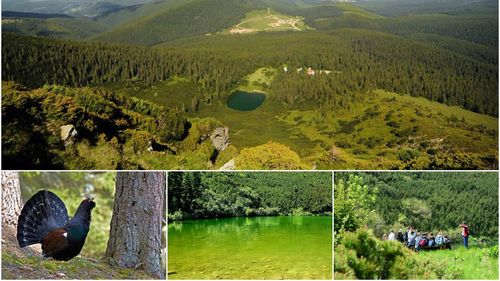 FOTO: Munții Șureanu, micul paradis situat la doar câțiva kilometri de Transalpina. Sfârșit de vară într-una dintre cele mai spectaculoase zone din Transilvania