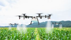 Asociaţiile apicultorilor şi fermierilor avertizează că proiectul care permite pulverizarea aeriană a pesticidelor cu drone avansează în ritm alert în Parlament / Practica este strict interzisă în UE