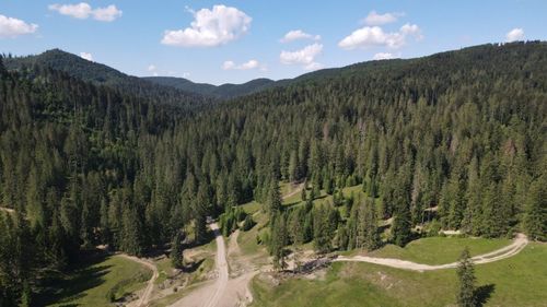 Monitorizarea din satelit a pădurilor, proiect de digitalizare de 35,5 milioane de lei