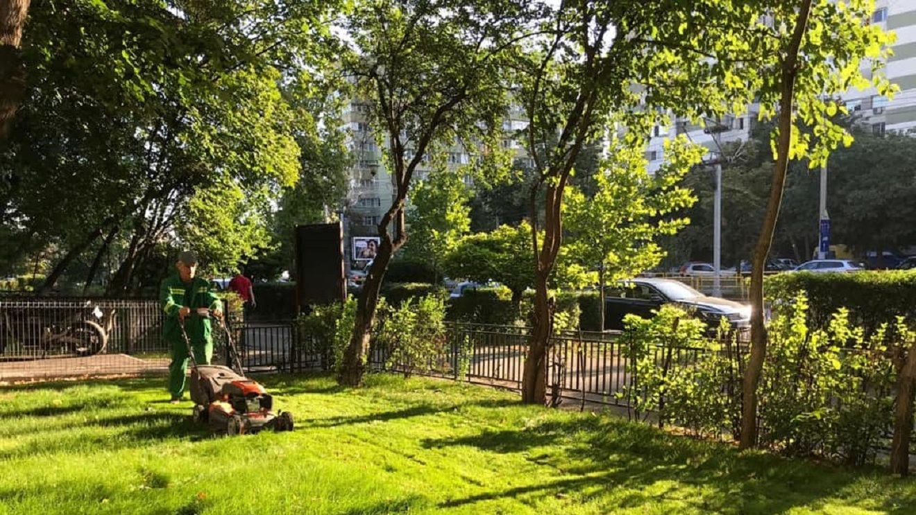 Vouchere de până la 2.500 lei, unelte, mașină de tuns iarba, gazon și plante pentru asociaţiile de proprietari care doresc amenajarea curţilor de la blocurile din Sectorul 6 al Capitalei / Care sunt condițiile