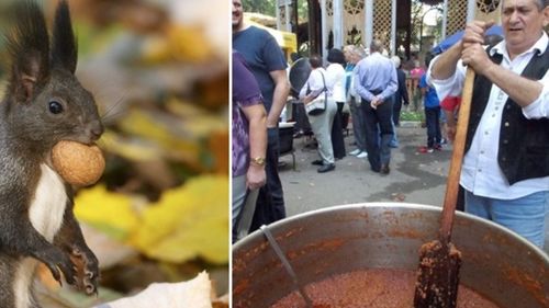 Zilele Veveriţelor, la Buziaş, după o pauză de 2 ani, provocată de pandemie / Nu va lipsi tradiţionalul concurs gastronomic „Cele mai bune sarmale din Banat”