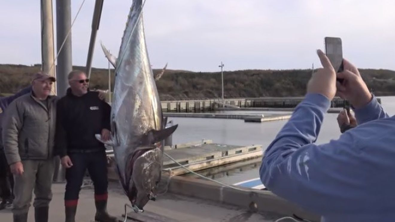 Un ton roșu uriaș a fost vândut la o licitație din Tokyo cu 1,8 milioane de dolari