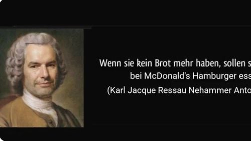 Cancelarul austriac Karl Nehammer, ținta ironiilor după o serie de gafe de imagine și declarații controversate: Dacă nu aveți bani de mâncare caldă, cumpărați McDonalds pentru copii