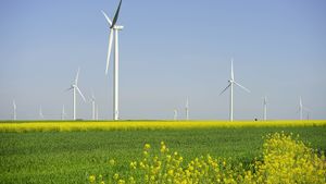 Mituri în energie. Sunt regenerabilele mai scumpe decât resursele convenționale de energie?
