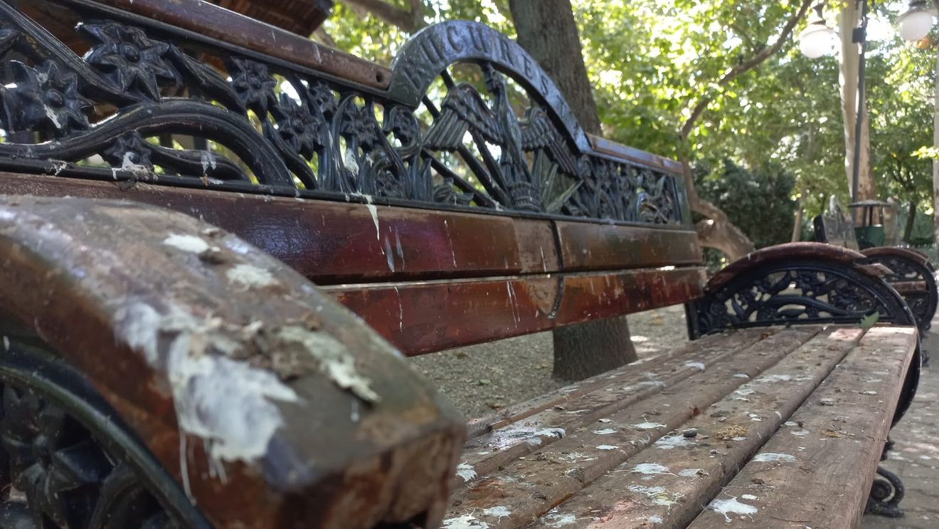 FOTOGALERIE Cum arată Cișmigiul la două săptămâni de când Nicușor Dan și-a asumat întreținerea parcului-simbol al Capitalei: la fel de mizerabil și degradat