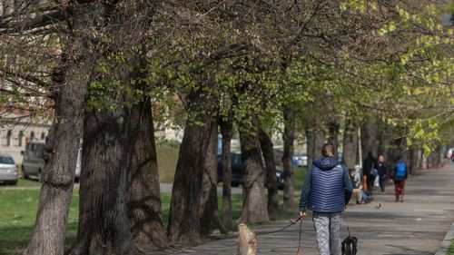 METEO Temperaturi de primăvară călduroasă în București, duminică