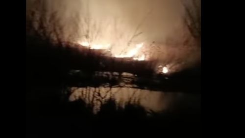 VIDEO Incendiu de vegetație în Deltă / Sunt afectate 150 hectare în apropiere de Sulina