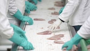 Producătorul local de carne de pui Transavia investește 17 milioane de lei în modernizarea unei linii de procesare de pui complet automatizate. Linia va fi pusă în funcțiune anul viitor