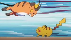 De la cărți Pokemon la friteuze: Vânzările de Cyber Monday din SUA au atins un record istoric de 11,3 miliarde de dolari