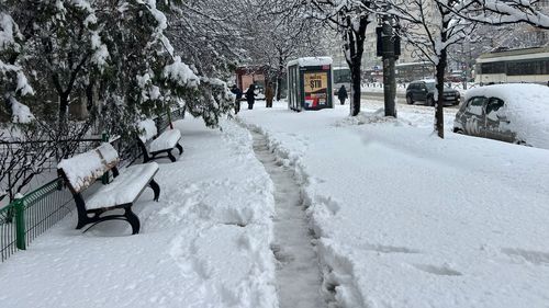 Noi alerte de cod galben și portocaliu în București și 25 de județe / Premierul Bolojan a fost la MAI / Drumuri și autostrăzi închise, avioane deviate, trafic feroviar paralizat / Prefectul Bucureștiului: Planurile de deszăpezire sunt prea vechi
