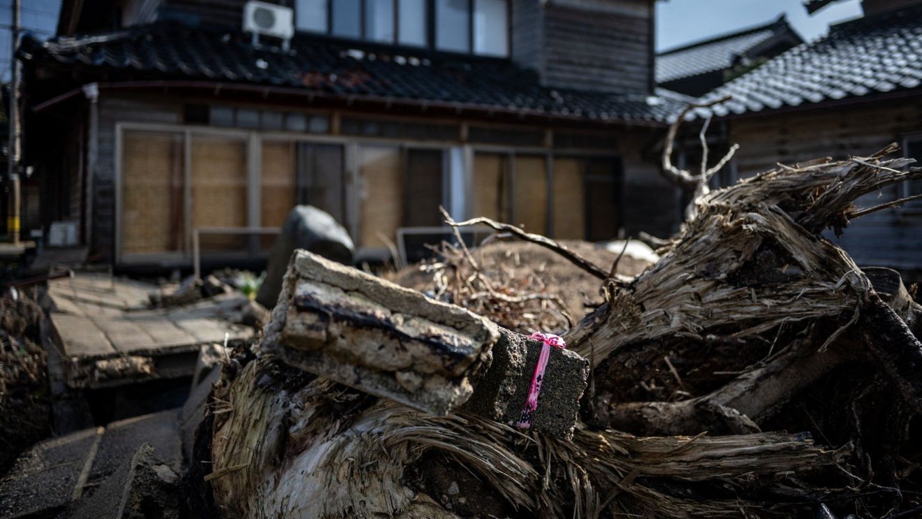 Un sat a supraviețuit cutremurului din Japonia grație arhitecturii unice a clădirilor sale