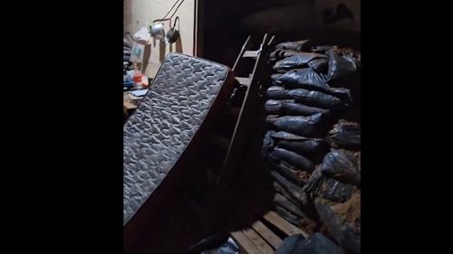 Au evitat jaful secolului? Autoritățile din Argentina au descoperit întâmplător 220 de metri de tunel săpat lângă o bancă, cu structură de lemn, ventilație și electricitate