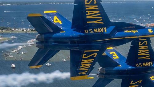 O femeie a dat în judecată Marina SUA după ce i-a murit pisica din cauza demonstrațiilor militare Blue Angels și a fost blocată pe Instagram: „Nimănui nu-i pasă de avioanele voastre proaste!”