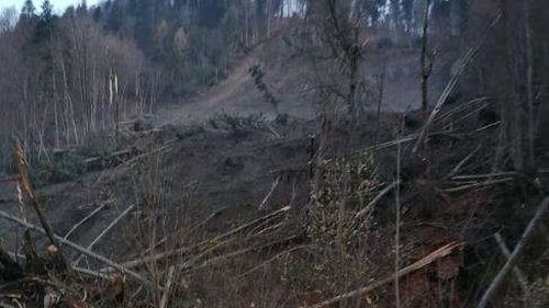 Prahova: 20 de familii din Azuga, evacuate din locuințe din pricina unei alunecări de teren